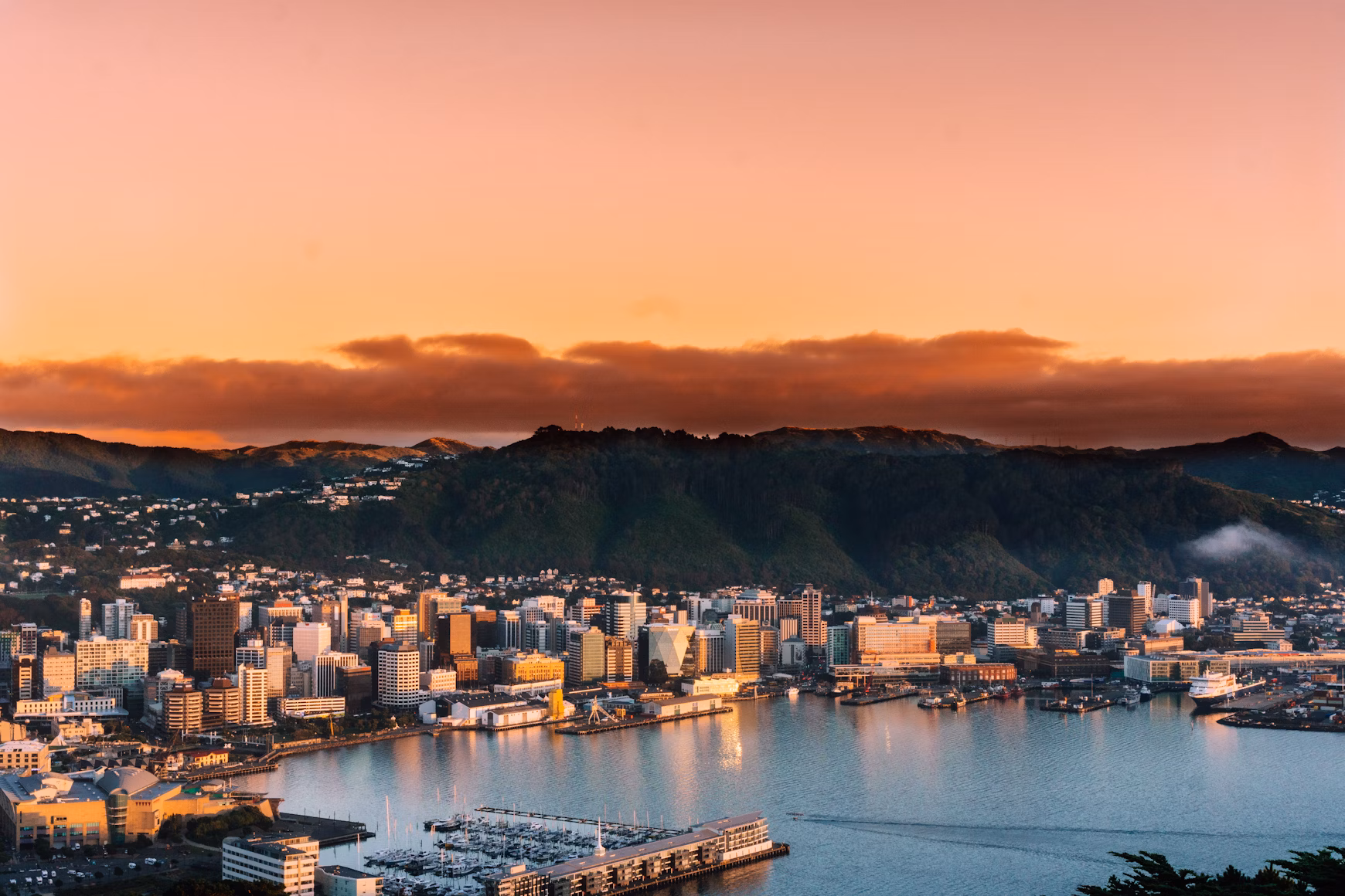 Scenic view of Auckland 3